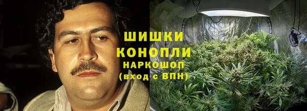 соль ск Ладушкин