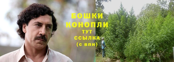 соль ск Ладушкин